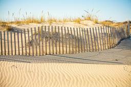Golden-hour dunes with weathered fence