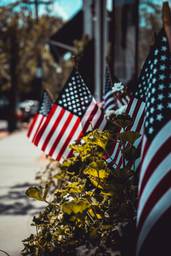 American flags tucked into a flower box on Main Street